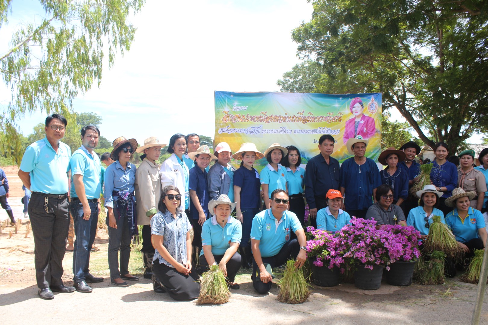 วิทยาลัยเกษตรและเทคโนโลยีมหาสารคาม จัดกิจกรรมลงแขกดำนา สืบสานประประเพณี เมื่อวันที่ 8 สิงหาคม 2562